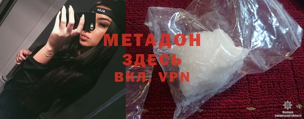 PSILOCYBIN Горняк