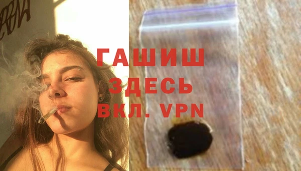 PSILOCYBIN Горняк