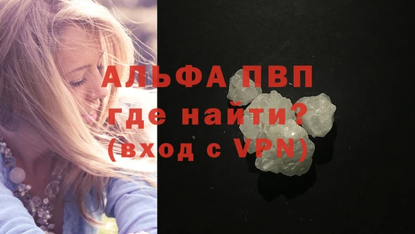 PSILOCYBIN Горняк