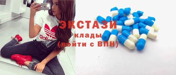 PSILOCYBIN Горняк