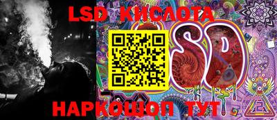 спайс Аргун