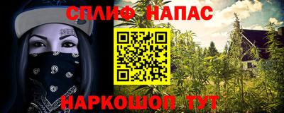 спиды Заволжье