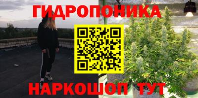 2c-b Заводоуковск