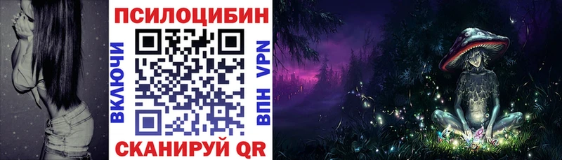 Псилоцибиновые грибы Psilocybe Можга