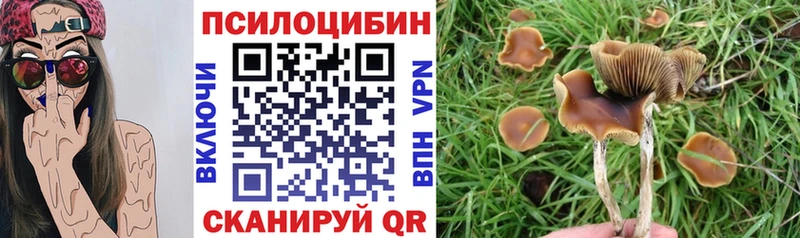 Псилоцибиновые грибы Magic Shrooms  ОМГ ОМГ вход  Можга  дарнет шоп 