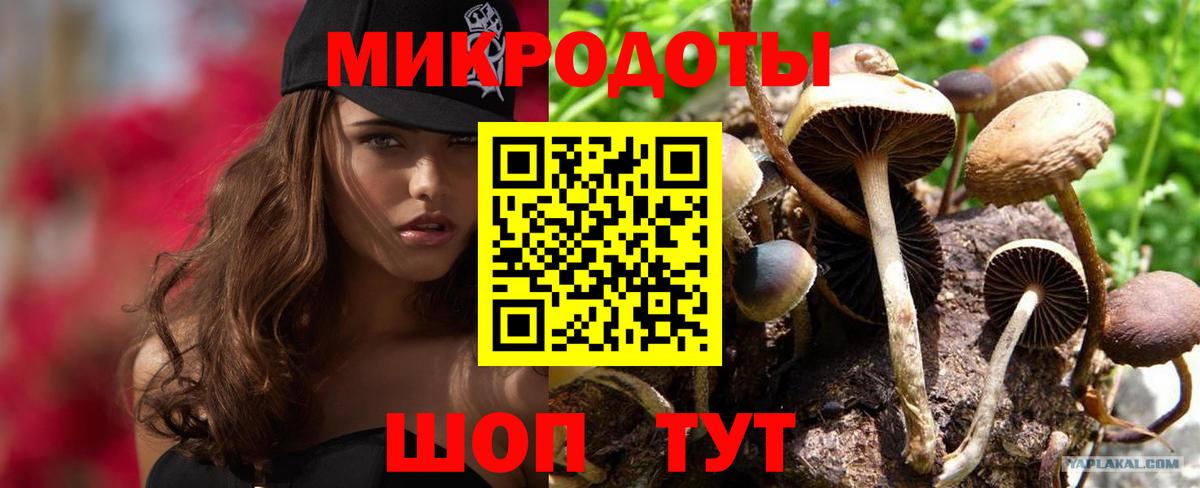 Псилоцибиновые грибы Psilocybe  Можга  Галлюциногенные грибы Magic Shrooms 