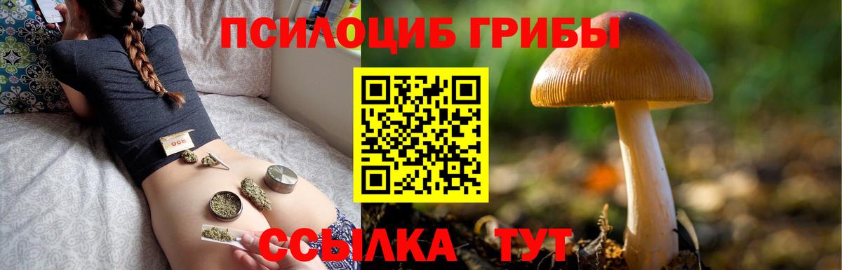 Галлюциногенные грибы прущие грибы Можга